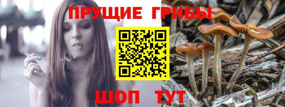 Галлюциногенные грибы Magic Shrooms  Галлюциногенные грибы мицелий  Керчь  Вход с VPN 